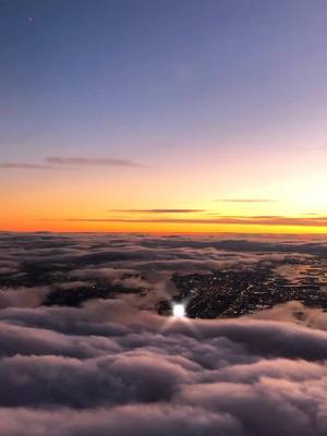 A post by @mysistergoestocollege on TikTok caption: to be in the clouds again... #tbt #nyc