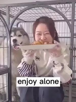 A post by @funhusky88 on TikTok caption: human revenge 😂😂😂#yougotit #fyp #cutedog