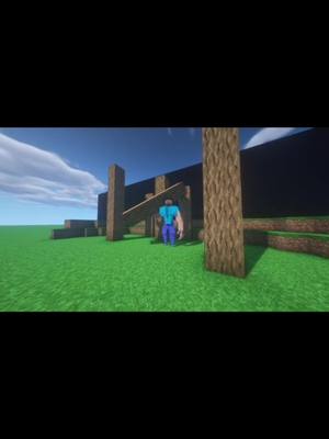 A post by @shadowzavala on TikTok caption: Steve #fyp #foryoupage #Minecraft #like #xyzbca #parati #tiktok #memes