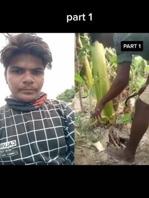 A post by @yogeshbiru on TikTok caption: #duet with @sevalvenkadesh