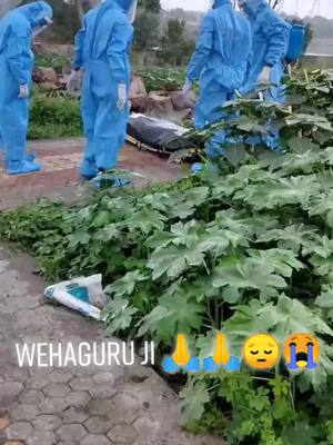 A post by @jaanilalka8150 on TikTok caption: Corna virus in india very sad wehaguru ji mehar karo g 😔😭🙏#FoodReview #wehaguru #HungerGames #gimmelove #jaanilalka8150 #jaani8150 #foryou