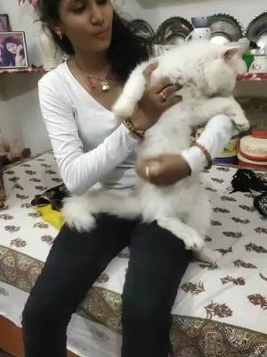 A post by @prakashnisha07 on TikTok caption: I am so happy my cat