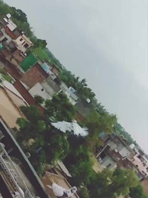 A post by @rinku6702 on TikTok