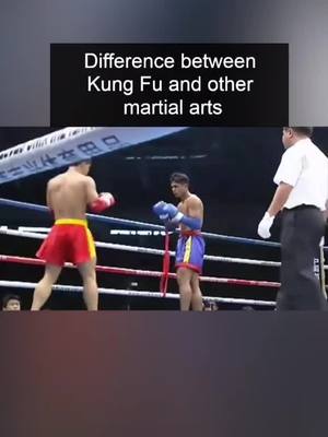 A post by @forcewithyou on TikTok caption: #martialarts #kungfu #chinesekungfu #foryou #foryoupage #ko #fyp #kickboxing #sanda #muaythai #WWE #UFC #mma #selfdefense #judo