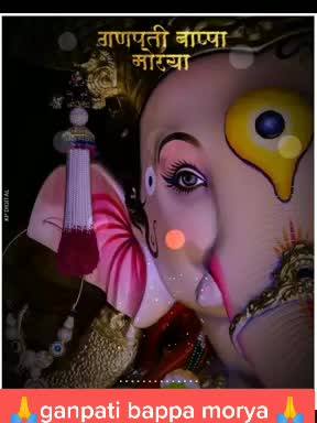 A post by @meghatrivedi34 on TikTok caption: #ganpatibappamorya #ganpattibappamorya