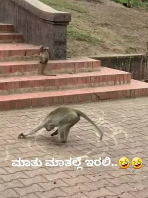 A post by @lathashri95 on TikTok caption: 🤣🤣🤣👌👌👌#TikTokTaughtMe #foryou #MagicMoment #tiktoktaughtme #fyp #foryoupage #tiktok