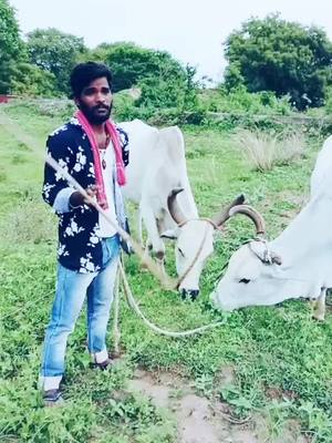 A post by @venkatmudhiraj220 on TikTok caption: #FashionEdit #TikTokTaughtMe #magicmoment #venkatmudhiraj220