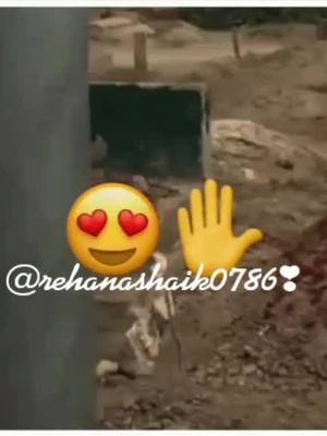 A post by @rehanashaik0786 on TikTok caption: 😒😒#foryou #trending #foryoupage #tiktokindia