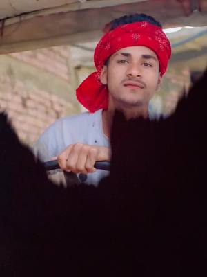 A post by @raidrking10 on TikTok caption: aapan driver wala#swagstepchallenge @janvisingh45514170