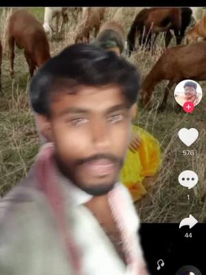 A post by @user222009282480783 on TikTok caption: #greenscreen