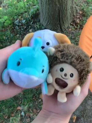 A post by @young.wild.me on TikTok caption: Which plushie would you pick? www.pbjtoys.com #plushie #plushies #plush #cuteplushie #toys #hedgehog #tiktoktoys #toysoftiktok #familythings #fyp #ad