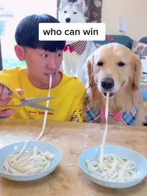 A post by @sukisssss on TikTok caption: who can win ？？#fun #fundog #dog