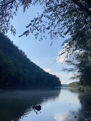 A post by @nevaehk.hair on TikTok caption: Please give this your full and undivided attention 🥺 #river #kentucky #fypシ I’m posting my backyard everyday until it’s noticed