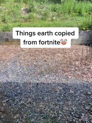 A post by @vortexxr_dizzy on TikTok caption: #greenscreen #fortnite#earth#funny#fyp #foryou #gaming #foryoupage #foryoupagethis #foryoupaged #makethisgoviral#xyzbca