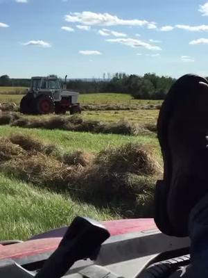 A post by @nightfireranch on TikTok caption: Teach your 10 year old to drive and they’ll wreak your car, teach your 10 year old to rake and you can be a day drinking child labour forman #farmlife