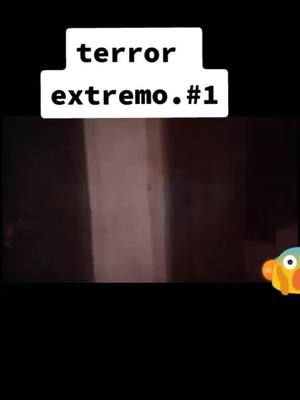 A post by @terror_extremo on TikTok caption: nueva categoría #reptilianosk #laikacll #wow124 #cosasparanormaless #diosymadre