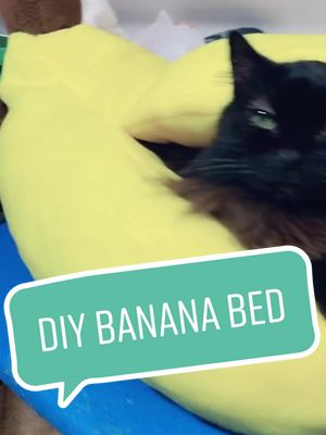 A post by @costumecat on TikTok caption: This banana 🍌 bed turned out so cute! Let me know if you want a pattern in the comments! #banana #cat #DIY