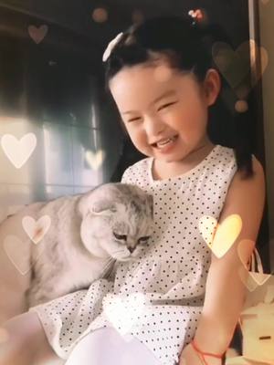 A post by @yoyocatbaby on TikTok caption: Yeah, u know , its love #foryou #funnypet #pet #kittycat #foryoupage #petoftiktok #cute #tiktok #catlove #fyp