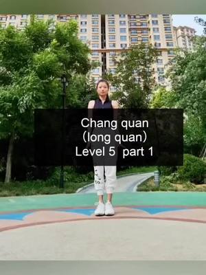 A post by @forcewithyou on TikTok caption: #kungfu #martialarts #chinesekungfu #girlpower #girl #cutegirl #chinesegirl #fyp #foryou #foryoupage