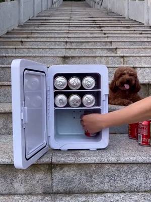 A post by @thedailylifetips on TikTok caption: Mini car refrigerator, best for summer. 🤓#LifeHack #lifetips #carrefrigerator #refrigerator #fyp