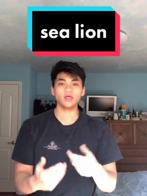 A post by @dthadz on TikTok caption: slightly more PG version #sealion #bhole #moodflip