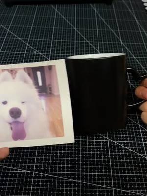 A post by @allen8200 on TikTok caption: Photo cup #puppy #dog #DIY #foryou