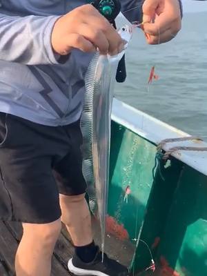 A post by @coolanimalsk on TikTok caption: #fyp #foryou #fypシ #fishing #rescue