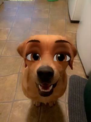 A post by @rugerdunkin on TikTok caption: #disneychallenge #disneyfilter #disneydog