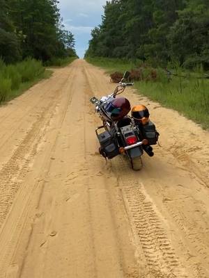 A post by @sevarts219 on TikTok caption: We’re about 40 minutes from any civilization. #dirtbike #eatingshit #ocalaflorida