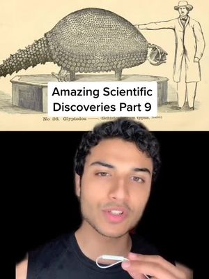 A post by @burhan.mustafa on TikTok caption: Hype up my account boys it’s dying 😔 #fyp#science#paleontology#archaeology#biology#animals#education#LearnOnTikTok#edutok#extinctanimals#education