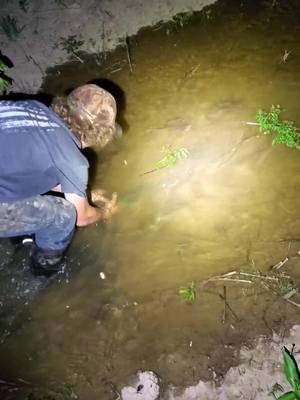 A post by @craig.lively88 on TikTok caption: You know just catching gar with our hands. its a kentucky thing. #kentucky #bowfishing  #fishing #gar #handfishing #Summer #goodtimes