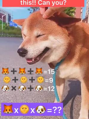 A post by @petfunnyday on TikTok caption: Can you solve it?#FreezeFramePhoto #GardenProject #puzzle #dog #dogsoftiktok #puppy #animallover #animalchallenge