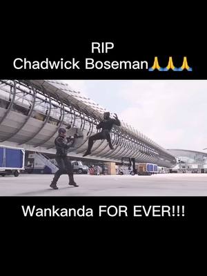 A post by @arthur_pan on TikTok caption: #RIPChadwickBoseman 🙏🙏🙏