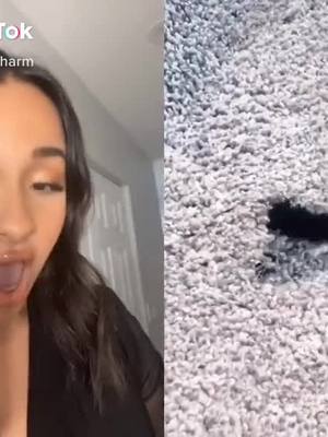 A post by @lifegoals101 on TikTok caption: If mascara falls on your carpet, try this hack. @boxycharm #boxycharm