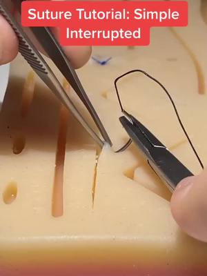 A post by @how.to.suture.101 on TikTok caption: Suture tutorial: Simple Interrupted! Comment any questions. #Spooktember #AnimalFriends #ProveWhatsPossible #foryou #sutures #surgeon #foryoupage #fyp