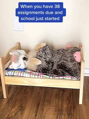 A post by @bentleythepomofficial on TikTok caption: My entire day in a nutshell...😭#onlineschool #schoollife #zoom #foryoupage #school #viral #viral #homework #homeschool