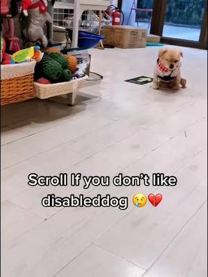 A post by @battylife on TikTok caption: Did you scroll?#tiktokdogs #dogs #doggo #cute #puppy #fyp #foryou