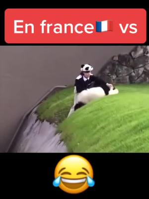 A post by @respect1856 on TikTok caption: #france #russia #francevsrussie #viral #pourtoi #pourtoii #foryou #foryoupage #fyp #fypシ #versus #vs #panda