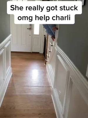 A post by @charlifanpage0398 on TikTok