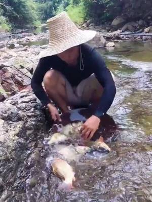 A post by @dennylovedora on TikTok caption: #Fish#Fishing##foryoupage#fyp