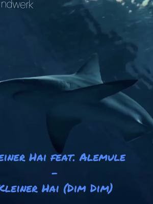 A post by @soundwerk on TikTok caption: Wer kennt diese Lied noch? #kleinerhai#alemule#hai