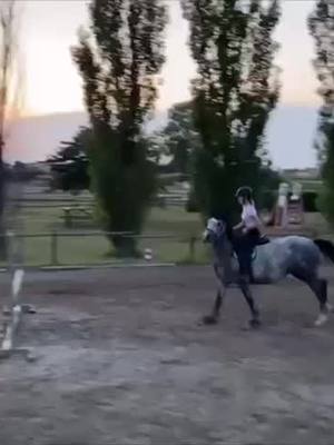 A post by @sevenkep on TikTok caption: Mai mollare🌟 Vi siete mai fatti male cadendo da cavallo?😬 #sevenkep #sevenkepteam