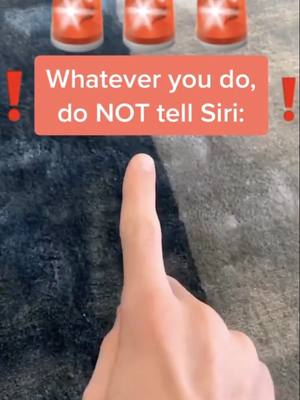 A post by @siricenter on TikTok caption: Dont do it!! #siri