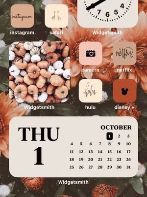 A post by @hailey_mccarthy on TikTok caption: i thought it would be a good time to post my #ios14 home screen because it’s a full moon.. and its oct.1st! falltheme #fyp #homescreen