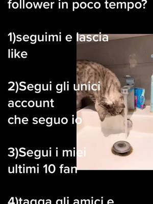 A post by @aumentiamoifollower_ on TikTok caption: #duetto con @tofuthecat2020 provate e fate sapere se funzionaaa