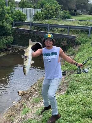 A post by @backyard_bowfishing on TikTok caption: @thecoldestwater #thecoldeswater #mullet #backyardbowfishing #fyp #tilapia