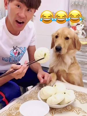 A post by @fernandebryden on TikTok caption: It smells so good! Out of control.😂😂😂#cutedog #foryou #fyp