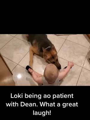 A post by @jerri_pocus_cooper on TikTok caption: When your grandson and his dog get to play face to face!