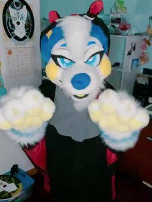 A post by @starpupstudio on TikTok caption: BOO! I’m a SPOOKY bat! 🦇🎃 (my fursuit head is... too big for the hood RIP) #furryfandom #fursuit #fursuiter #fursona