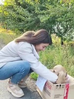 A post by @petslove0520 on TikTok caption: Pls,do not abandon me!!!